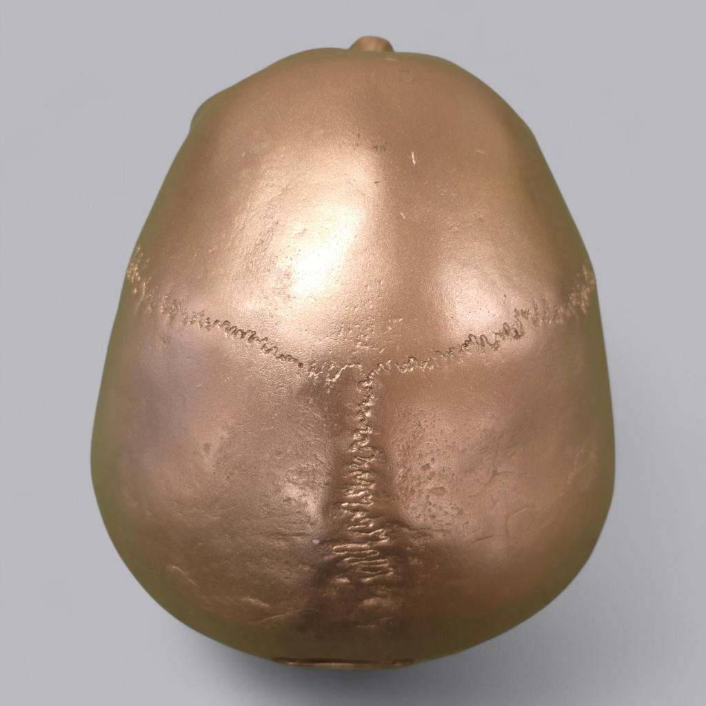 Modernes Totenkopf-Kässeli in Metallic-Optik