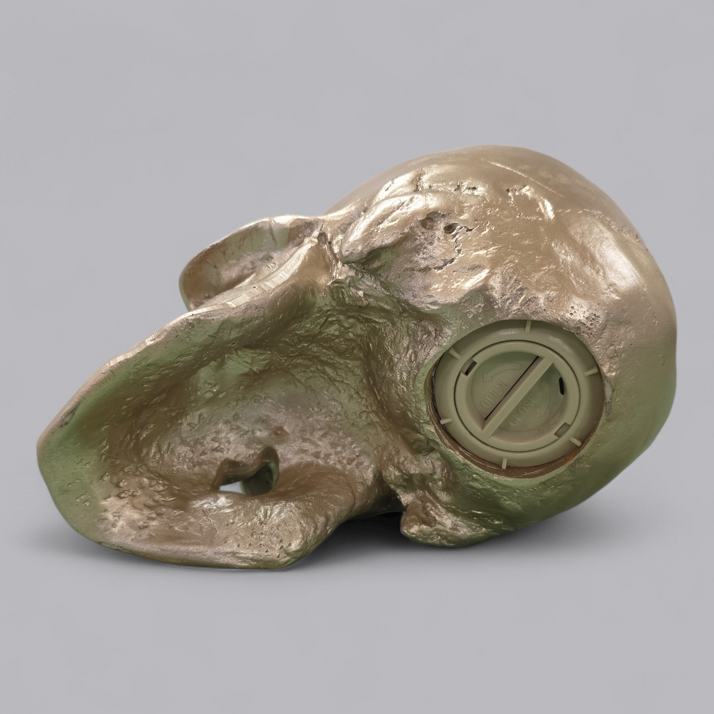 Modernes Totenkopf-Kässeli in Metallic-Optik