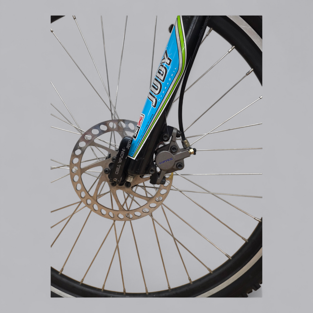 Crosswave Mountainbike frisch ab Service