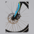 Crosswave Mountainbike frisch ab Service